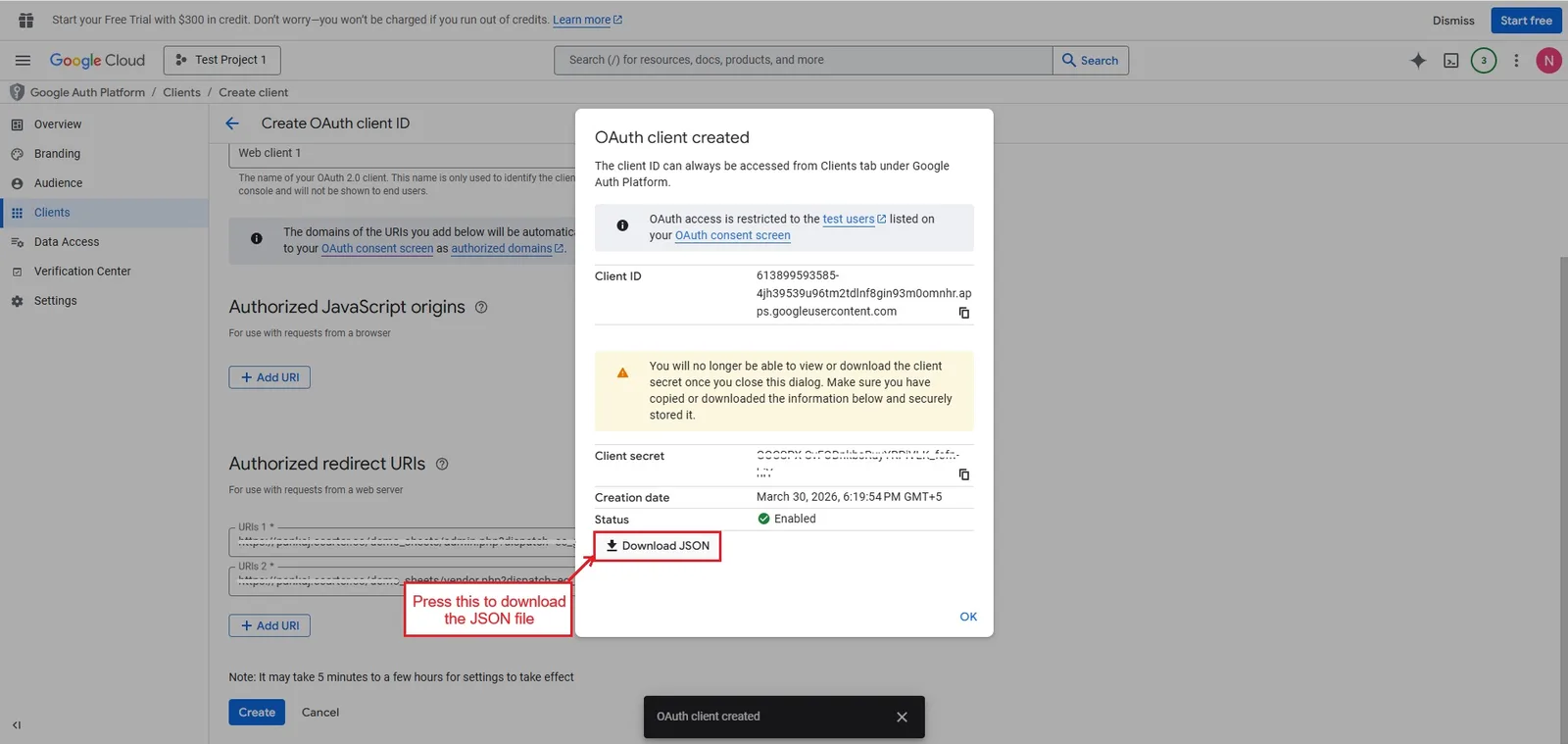Set Up Google APIs with OAuth for Secure Access — illustration 19