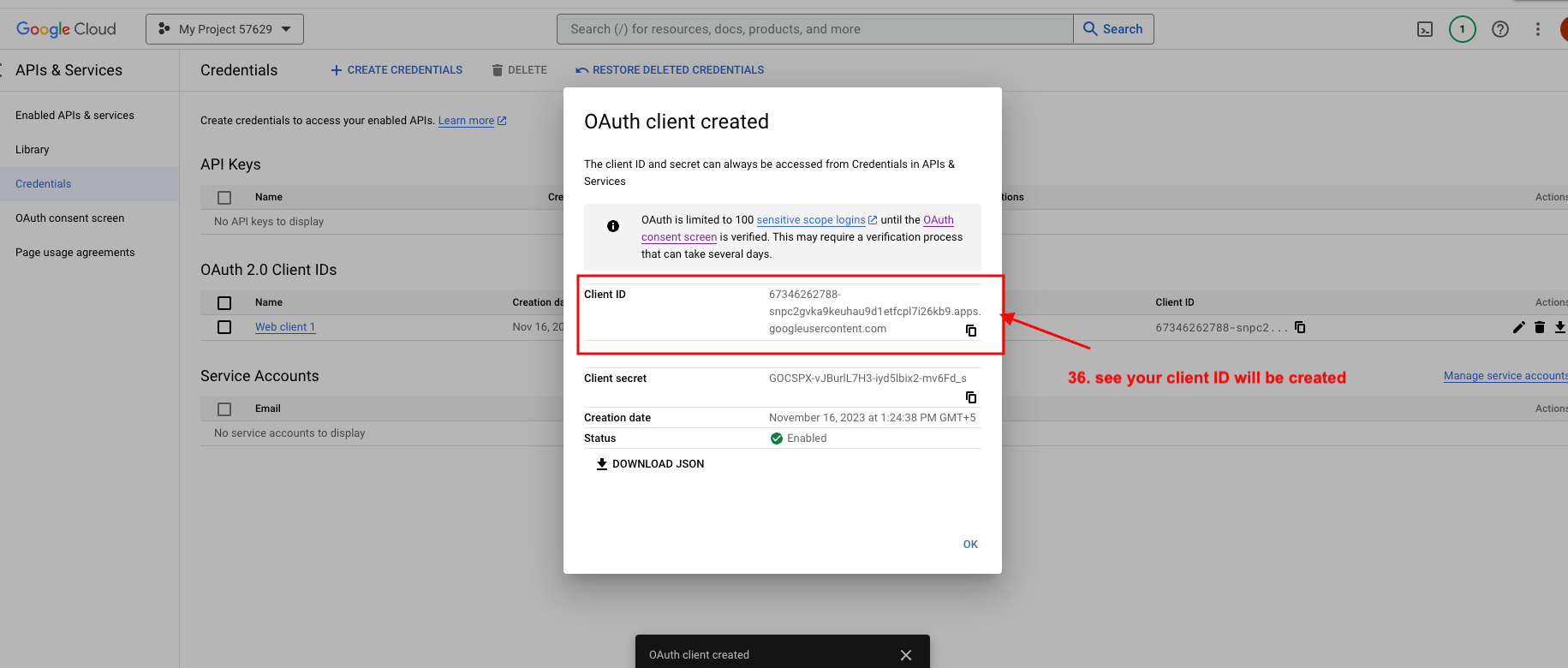OAuth consent screen page 6