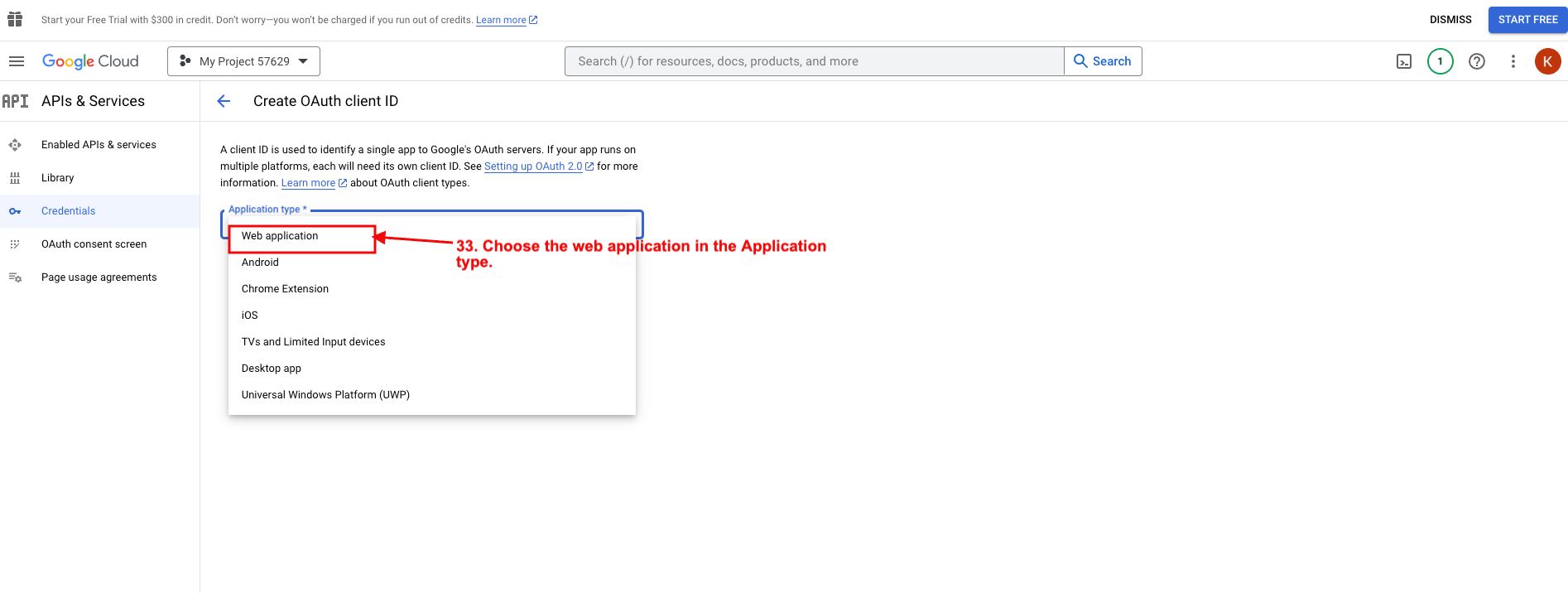 OAuth consent screen page3
